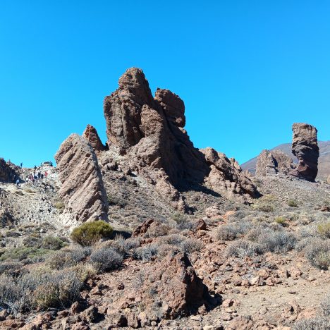 Loro Parque – Short Input