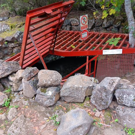 Letzter Abend mit unseren Freunden aus Teneriffa