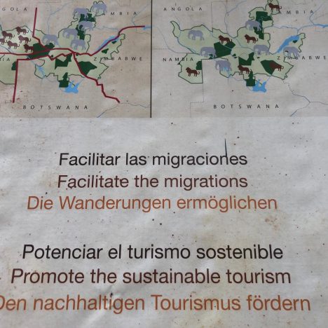 Loro Parque – Short Input